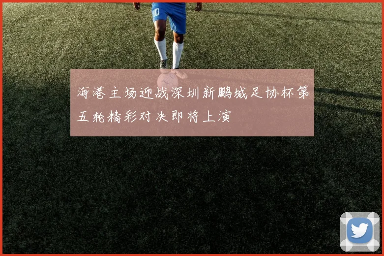 海港主场迎战深圳新鹏城足协杯第五轮精彩对决即将上演