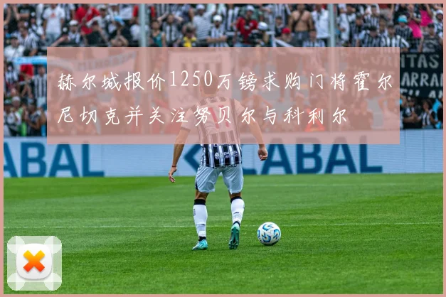 赫尔城报价1250万镑求购门将霍尔尼切克并关注努贝尔与科利尔
